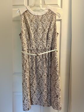 Calvin Klein Cream and Beige Lace Midi Dress with Slim Belt